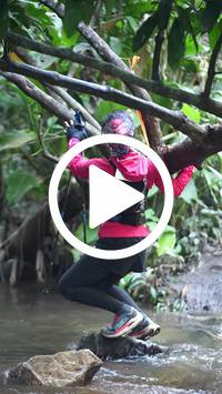 BIB:  <button type="button" onclick="openModal(27824647)" class="btn btn-primary btn-sm float-right" data-toggle="modal" data-target=".modal-high-quality">
                <i class="fa fa-download"></i> Download
                </button>